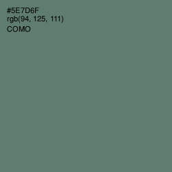 #5E7D6F - Como Color Image