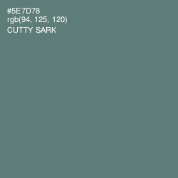 #5E7D78 - Cutty Sark Color Image