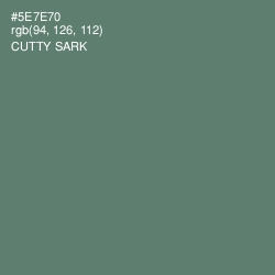 #5E7E70 - Cutty Sark Color Image
