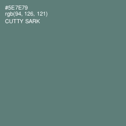 #5E7E79 - Cutty Sark Color Image
