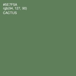 #5E7F5A - Cactus Color Image