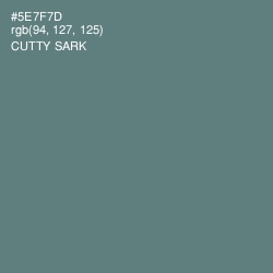 #5E7F7D - Cutty Sark Color Image