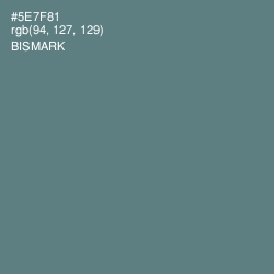 #5E7F81 - Bismark Color Image
