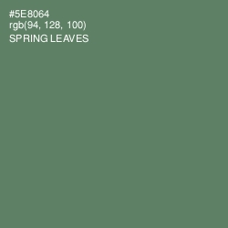 #5E8064 - Spring Leaves Color Image