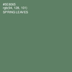 #5E8065 - Spring Leaves Color Image