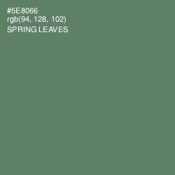 #5E8066 - Spring Leaves Color Image