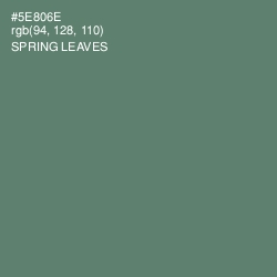 #5E806E - Spring Leaves Color Image