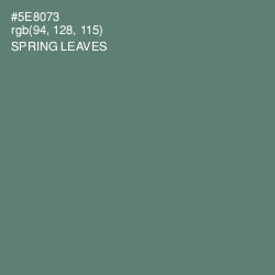 #5E8073 - Spring Leaves Color Image