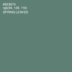 #5E8074 - Spring Leaves Color Image