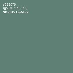 #5E8075 - Spring Leaves Color Image