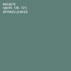 #5E8079 - Spring Leaves Color Image