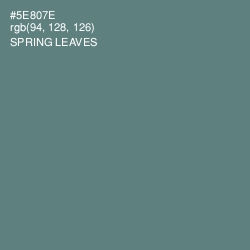 #5E807E - Spring Leaves Color Image