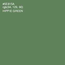 #5E815A - Hippie Green Color Image