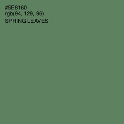 #5E8160 - Spring Leaves Color Image