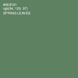 #5E8161 - Spring Leaves Color Image