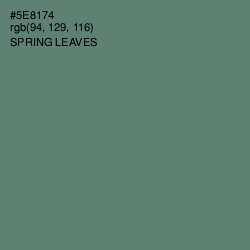 #5E8174 - Spring Leaves Color Image