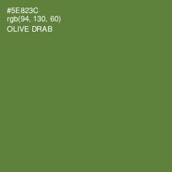 #5E823C - Olive Drab Color Image