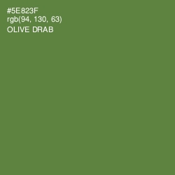 #5E823F - Olive Drab Color Image