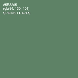 #5E8265 - Spring Leaves Color Image