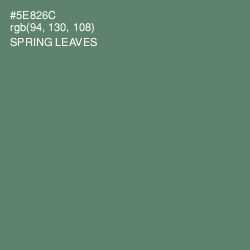 #5E826C - Spring Leaves Color Image