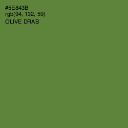 #5E843B - Olive Drab Color Image