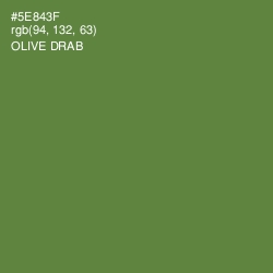 #5E843F - Olive Drab Color Image