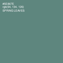 #5E867E - Spring Leaves Color Image