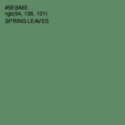 #5E8A65 - Spring Leaves Color Image