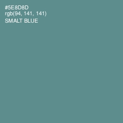 #5E8D8D - Smalt Blue Color Image