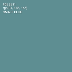 #5E8E91 - Smalt Blue Color Image