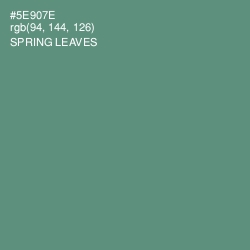 #5E907E - Spring Leaves Color Image