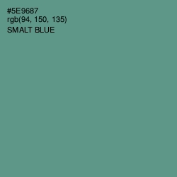 #5E9687 - Smalt Blue Color Image