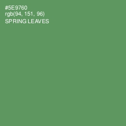 #5E9760 - Spring Leaves Color Image