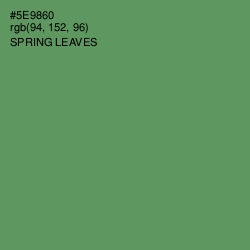 #5E9860 - Spring Leaves Color Image