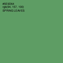 #5E9D64 - Spring Leaves Color Image
