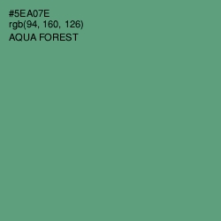 #5EA07E - Aqua Forest Color Image