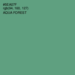 #5EA07F - Aqua Forest Color Image