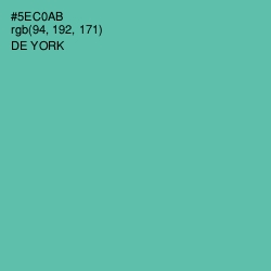 #5EC0AB - De York Color Image