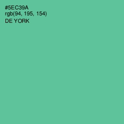 #5EC39A - De York Color Image