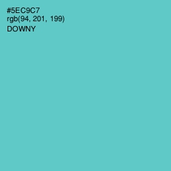 #5EC9C7 - Downy Color Image