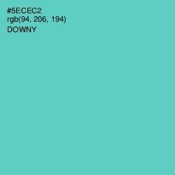 #5ECEC2 - Downy Color Image