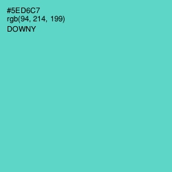 #5ED6C7 - Downy Color Image