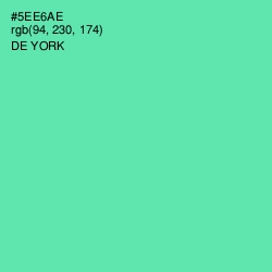 #5EE6AE - De York Color Image