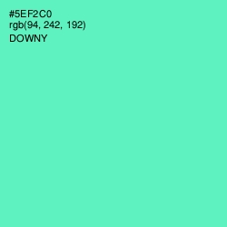 #5EF2C0 - Downy Color Image
