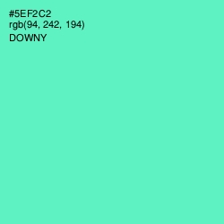 #5EF2C2 - Downy Color Image