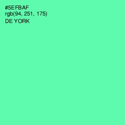 #5EFBAF - De York Color Image