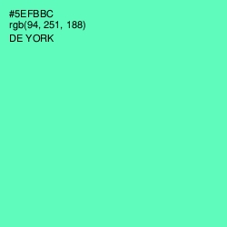 #5EFBBC - De York Color Image