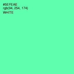 #5EFEAE - De York Color Image