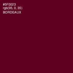 #5F0023 - Bordeaux Color Image