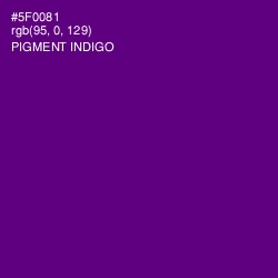 #5F0081 - Pigment Indigo Color Image